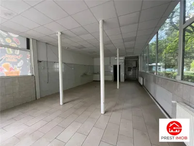 De inchiriat spatiu comercial in Aleea Carpati - foto 2