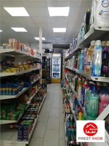 De inchiriat spatiu comercial in Aleea Carpati - foto 12
