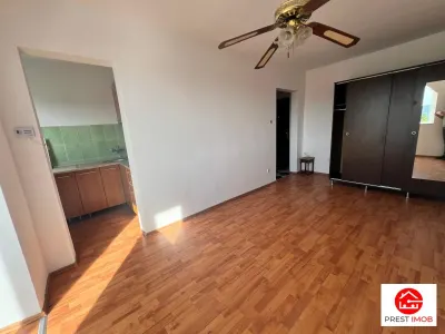 Apartament cu 1 camera de vanzare Mureseni - foto 4