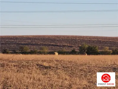 De vanzare teren intravilan 3400 mp , Mureseni, Targu Mures - foto 4