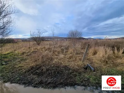 Teren de vanzare intravilan,29 arii, Santana - foto 4