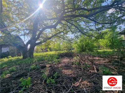 Teren intravilan de vanzare 14900 mp, 43m deschidere  Mureseni, Mures - Targu Mures