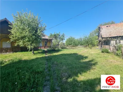Teren intravilan de vanzare 14900 mp, 43m deschidere  Mureseni, Mures - foto 5