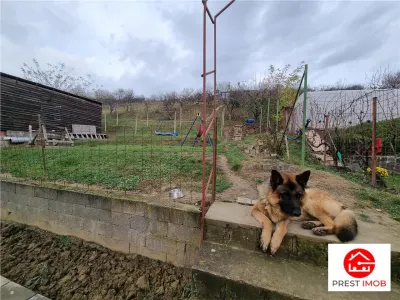 De vanzare casa cu 5 camere in Sancraiul de Mures - foto 20