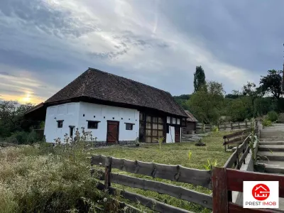 Casa de vanzare si cafenea in stil rustic - Candu