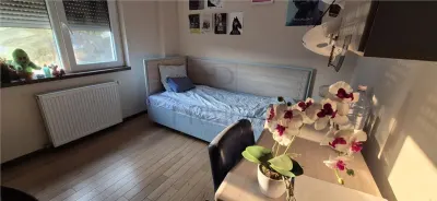 BUCOVINA - RENOVAT - ETAJ 1 - BLOC IZOLAT - 4 CAMERE - 2 BAI - 2 BALCOANE - CENTRALA PROPRIE - RULOURI - foto 12