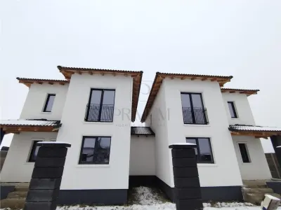 Duplex despartit prin camera tehnica - langa asfalt - compartimentare excelenta - dormitor la parter - Mosnita Noua