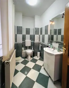 BLASCOVICI - CASA INDIVIDUALA - 6 camere - 3 bai - demisol - GARAJ - foto 8