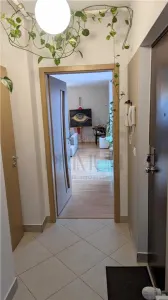 ARADULUI - PENTHOUSE - LIFT - 3 CAMERE - 2 BAI - 3 TERASE - CENTRALA PROPRIE - CLIMA - foto 8