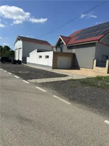 Casa individuala - posibilitate afacere service - mobilat lux - zona excelenta - foto 4