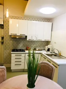 IOSEFIN - 4 CAM - 2 BAI - RENOVAT - PREMIUM - CENTRALA - VILA ISTORICA- - foto 4