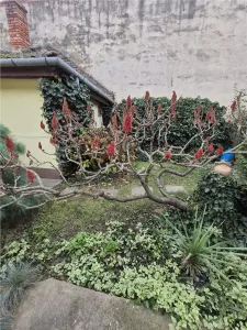 Oportunitate in Timisoara - 880mp teren - doua case - ideal  locuinta - investitie sau doua familii - foto 25