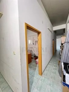 MIRCEA CEL BATRAN - CASA INDIVIDUALA + TEREN GENEROS - SAD - INVESTITIE UNICA - foto 8