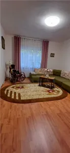 FREIDORF | CASA INDIVIDUALA | 3 CAMERE | RENOVATA | GRADINA | CENTRALA | ANVELOPATA | POD - Timisoara