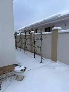 DUMBRAVITA |CASA IND.P+1 |5 CAM |5 BAI |GARAJ | TEREN GENEROS| - foto 12