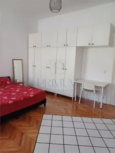 SAGULUI, CASA ISTORICA, 2 DORMITOARE, LIVING, BUCATARIE INCHISA, GRADINA - foto 2