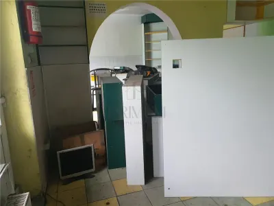 CIARDA ROSIE, CASA CU SAD, TEREN 1800 MP SI SERVICE - foto 4