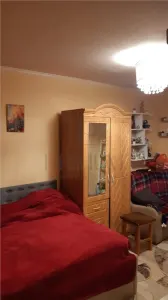 Apartament 1 camera-Etaj Intermediar-Centrala-Freidorf - Timisoara