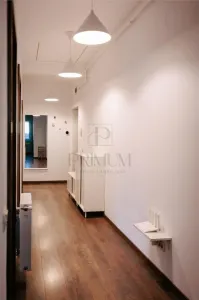 GIROC-ESO | 3 CAM | PARCARE | MOBILAT - UTILAT | ZONA EXCELENTA - foto 9