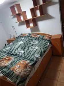 CALEA MARTIRILOR, CASA INDIVIDUALA, 4 CAMERE, 2 BAI, 2 BUCATARII - foto 3