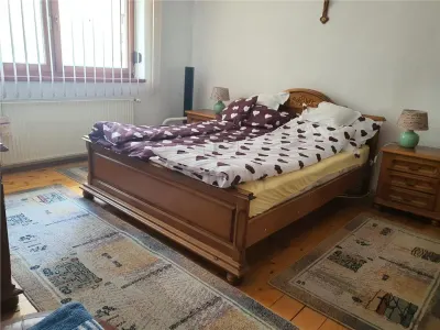 CALEA SAGULUI, OPORTUNITATE DE INVESTITIE CASA INDIVIDUALA CU SAD (SPATIU ALTA DESTINATIE) INCLUS - foto 12