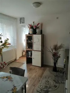 BRAYTIM, CASA INDIVIDUALA CU 2 APARTAMENTE, 3 DORMITOARE, 2 BUCATARII INCHISE - Timisoara