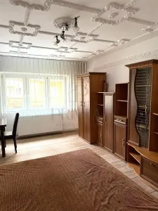 LIPOVEI - PARTER - BLOC IZOLAT - 3 CAMERE - 2 BAI - BALCON - CENTRALA PROPRIE - DECOMANDAT - foto 3