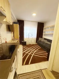 BUZIASULUI - 1 CAMERA - RENOVATA  - PRETABIL INVESTITII - Timisoara
