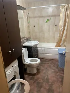 Apartament 1 camera-Aradului-Centrala-Ac-Terasa - foto 8