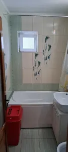 Apartament 2 camere decomandat, Cetate, bulevard - foto 6