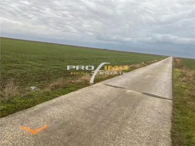 Plaja Corbu-Teren 4200mp. la numai 8 euro /mp. Soseaua asfaltata - foto 12