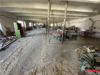 Letea Veche - Radomiresti - Hala 409 - teren 4.650mp - foto 3