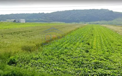 Teren intravilan I Itcani I T-7013 - Suceava