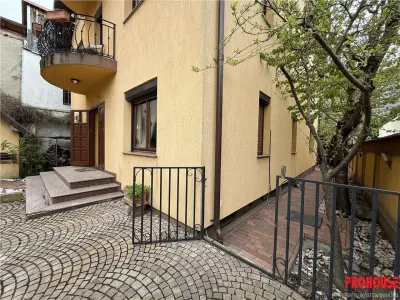 Proprietate deosebita de vanzare in centrul Bacaului- eleganta, istorie si investitie intr-o singura vila! - foto 3