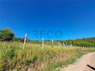 RECO teren intravilan Podgoria - Oradea