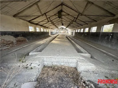 Platforma industriala 27.000mp - Racova - Buhusi - foto 9