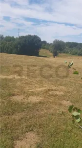 RECO, Teren intravilan, zona Sinteu, 2 Km de Huta Slavia - Sinteu