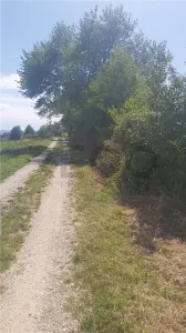 RECO, Teren intravilan, zona Sinteu, 2 Km de Huta Slavia - foto 5
