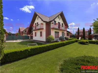 Domeniu superb - vila S+P+M si teren - foto 3