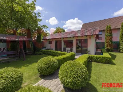 Domeniu superb - vila S+P+M si teren - foto 7