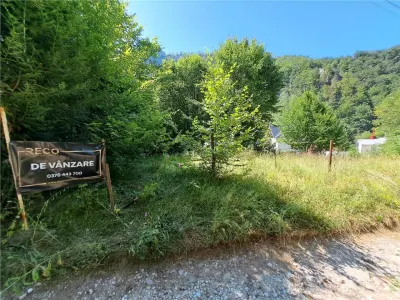 RECO  Casa Boga - foto 7