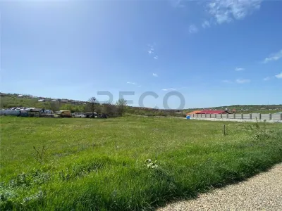 RECO Teren intravilan in  Oradea str Beldiceanu 881mp - Oradea