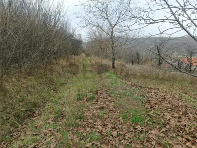 RECO Teren  in Oradea - foto 9