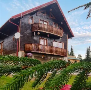 Cabana/ Afacere la Cheie, Neagra Sarului C-5172 - Neagra Sarului