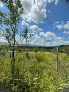RECO Teren Extravilan Podgoria Oradea - foto 8