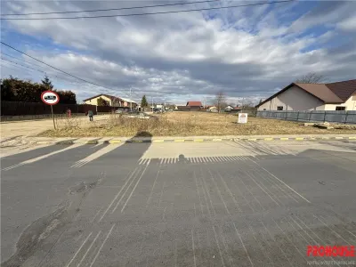 Serbanesti - Triumfului - 2.478 mp sau loturi 400-500mp - Bacau