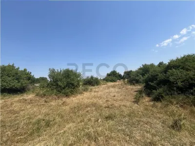 RECO Teren intravilan Tileagd 2337 mp - Tileagd