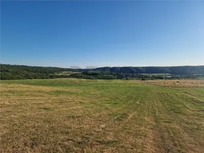 RECO teren extravilan Betfia - foto 2