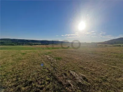 RECO teren extravilan Betfia - foto 4