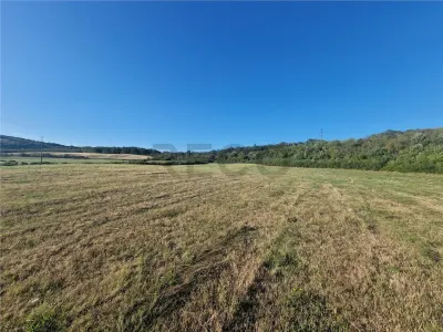 RECO teren extravilan Betfia - foto 7